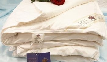Одеяло китайские Kingsilk Elisabette Элит зимнее белое